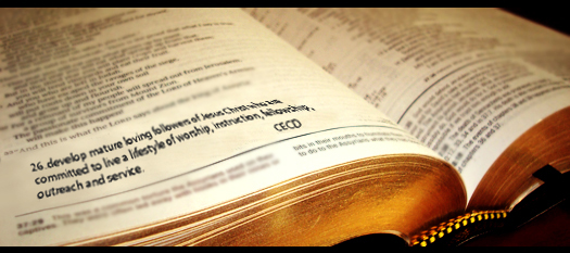 Philippians 4:4 reminds us to "Rejoice in the Lord always. Philippians 4:4 reminds us to "Rejoice in the Lord always.